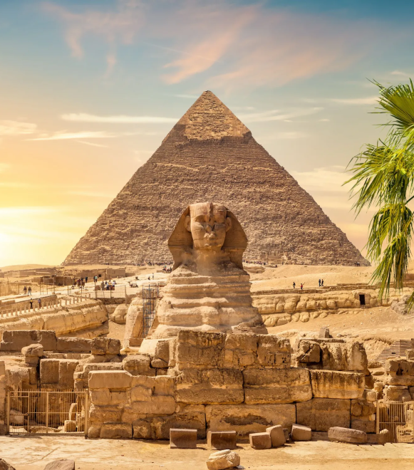 giza-pyramids-cairo-egypt-with-palm